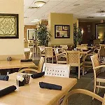 Shell Island Resort - All Oceanfront Suites 